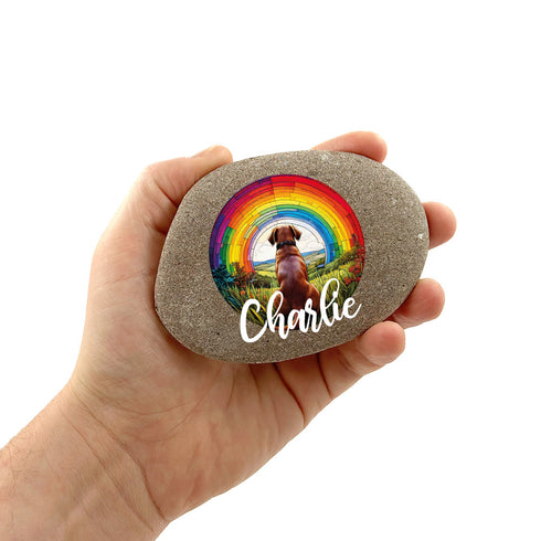 Rainbow Labrador Chocolate Personalised Pebble